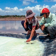 Trải bạt làm muối